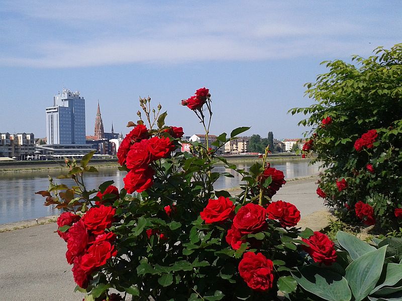 Prijava za izbor najljepšeg balkona i okućnice (do 20.05.2017.)